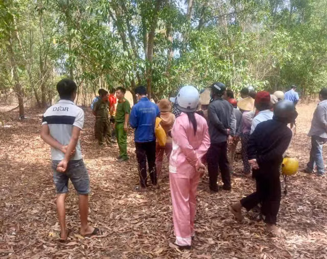 Phat hien nguoi dan ong tu vong trong rung tram o Binh Thuan