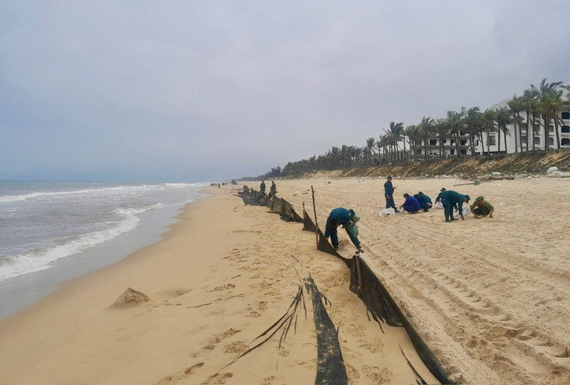 Được biết, lượng dầu vón cục này phân bố với chiều dài khoảng 17km dọc bờ biển thuộc địa bàn xã Lộc Vĩnh và thị trấn Lăng Cô (huyện Phú Lộc).