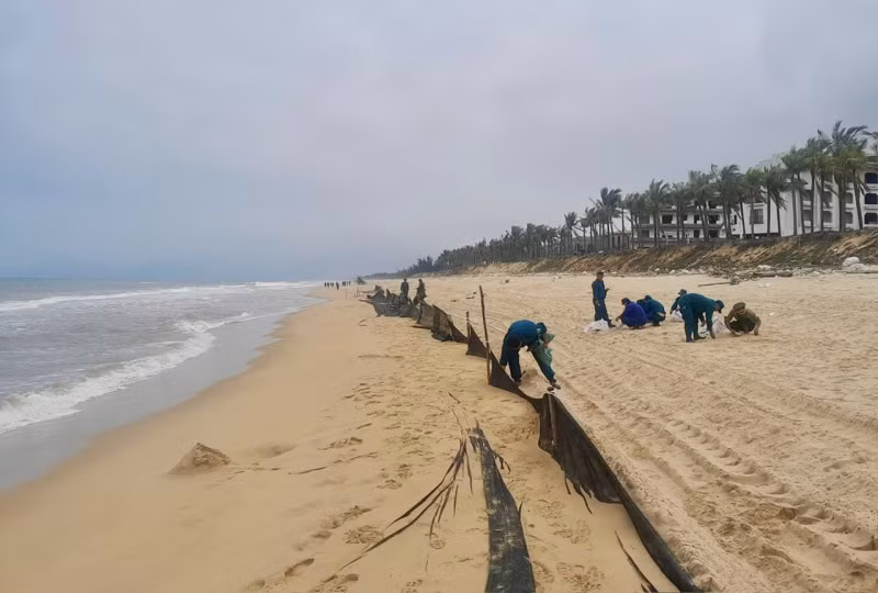 Được biết, lượng dầu vón cục này phân bố với chiều dài khoảng 17km dọc bờ biển thuộc địa bàn xã Lộc Vĩnh và thị trấn Lăng Cô (huyện Phú Lộc).