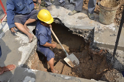 ho sau xuat hien giua trung tam tp hcm hinh anh 1