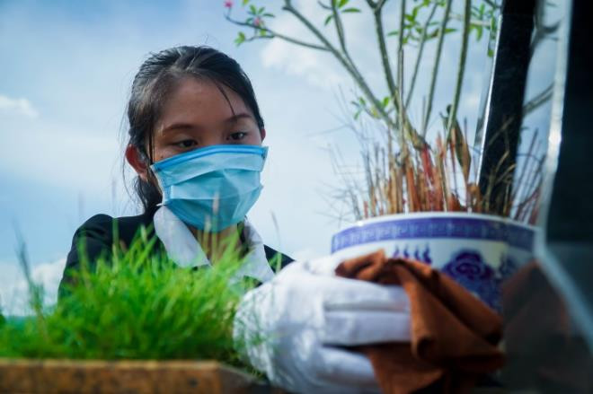 Ne COVID-19, khach dua nhau cung online dip le Vu lan-Hinh-2