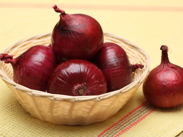 Kết quả cho thấy, những con chuột được cho uống 400 mg và 600 mg chiết xuất hành tây có lượng đường trong máu giảm mạnh lần lượt là 50% và 35%. Ảnh: Boldsky.