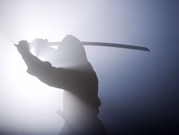 Vùng Iga và Koga ở Nhật Bản được coi là nơi sinh ra những Ninja. Kể từ đó, Ninja trở thành lực lượng chính tham gia chiến tranh ở Nhật Bản. Các lãnh chúa phong kiến luôn coi ninja ở Iga và Koga là những Ninja giỏi nhất ở đất nước Nhật Bản.