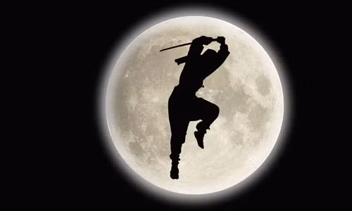 Không chỉ là những người được đào tạo võ thuật bài bản, chiến đấu tinh nhuệ, trung thành tuyệt đối với chủ nhân, Ninja Nhật Bản còn thực hiện các nhiệm vụ khác như ám sát, gián điệp, trinh sát, thực hiện phá hoại ngầm đối với kẻ thù hay phục kích quân địch ở chiến trường..