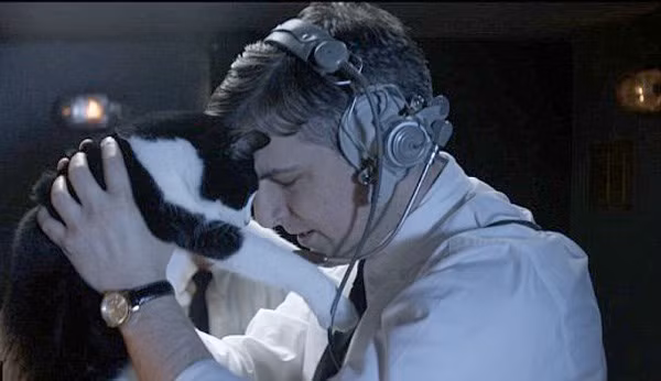 Trong thời kỳ Chiến tranh Lạnh, Mỹ từng chi tới hàng triệu USD để thực hiện kế hoạch biến mèo thành gián điệp. Cụ thể, vào thập niên 1960, các đặc nhiệm CIA đã nảy ra ý tưởng kỳ lạ trên để có thể nghe lén phía Liên Xô trong giai đoạn Chiến tranh Lạnh. Tuy nhiên, dự án này cuối cùng thất bại, mọi nỗ lực đều trở thành công cốc.