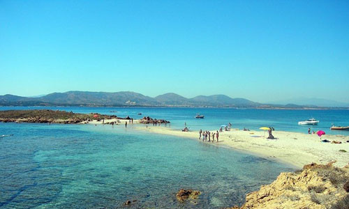 Sau khi săn được vài con dê và ăn tiệc trong 3 ngày tại nhà của Paolo, Carlo Alberto vui mừng nói rằng: "Paolo, ông thật sự là vua của Tavolara". Dù đùa cợt hay không thì Carlo Alberto cũng công nhận hòn đảo Tavolara chưa từng là một phần của xứ Sardinia. Ông gửi cho Paolo một cuộn da lừa từ gia đình hoàng gia của mình (House of Savoy) để chứng nhận tình hình quân chủ của hòn đảo. Về sau, Paolo tự sáng tạo thêm bộ áo giáp Bertoleoni và vẽ lên tường nhà mình. Ông vẽ cây gia phả và xây cả một nghĩa trang trên đảo cho mình và con cháu.