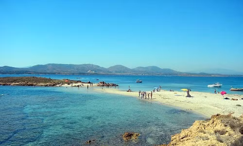 Sau khi săn được vài con dê và ăn tiệc trong 3 ngày tại nhà của Paolo, Carlo Alberto vui mừng nói rằng: "Paolo, ông thật sự là vua của Tavolara". Dù đùa cợt hay không thì Carlo Alberto cũng công nhận hòn đảo Tavolara chưa từng là một phần của xứ Sardinia. Ông gửi cho Paolo một cuộn da lừa từ gia đình hoàng gia của mình (House of Savoy) để chứng nhận tình hình quân chủ của hòn đảo. Về sau, Paolo tự sáng tạo thêm bộ áo giáp Bertoleoni và vẽ lên tường nhà mình. Ông vẽ cây gia phả và xây cả một nghĩa trang trên đảo cho mình và con cháu.