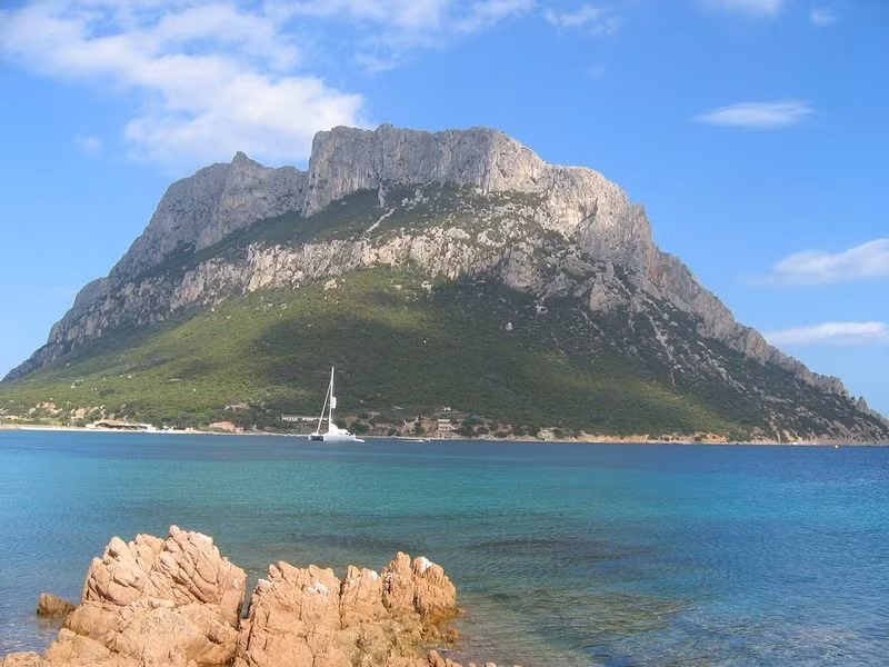 Sau khi gia đình Bertoleoni dọn đến hòn đảo trên sinh sống, họ phát hiện ở nơi đây có những con dê hoang thuộc loại hiếm với răng thường bị nhuộm vàng do ăn các loại tảo biển và địa y. Vào năm 1836, loài dê này nổi tiếng tới mức Carlo Alberto, người đứng đầu đảo Sardina đã tới Tavolara để săn bắt. Khi đó Paolo, 24 tuổi là con trai của Bertoleoni làm hướng dẫn viên cho những cuộc đi săn.