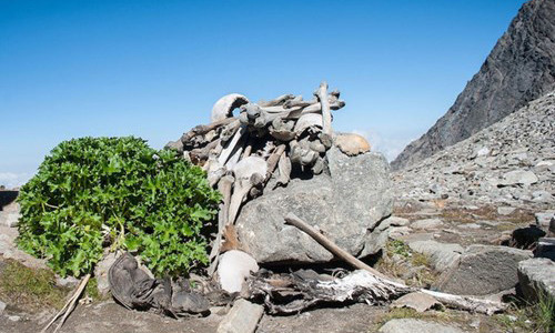 Hồ xương người ở Ấn Độ là một vùng đất đáng sợ trên thế giới khi có tới 200 bộ xương được phát hiện khi nước trong hồ cạn. Điểm chung của các bộ hài cốt này là đều được bảo quản khá nguyên vẹn nhưng mỗi hộp sọ đều có dấu vết rạn vỡ. Dường như những người này bị một cú đánh rất mạnh vào đầu trước khi chết. Đến nay, danh tính của những bộ xương trên chưa được làm sáng tỏ.