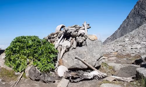 Hồ xương người ở Ấn Độ là một vùng đất đáng sợ trên thế giới khi có tới 200 bộ xương được phát hiện khi nước trong hồ cạn. Điểm chung của các bộ hài cốt này là đều được bảo quản khá nguyên vẹn nhưng mỗi hộp sọ đều có dấu vết rạn vỡ. Dường như những người này bị một cú đánh rất mạnh vào đầu trước khi chết. Đến nay, danh tính của những bộ xương trên chưa được làm sáng tỏ.