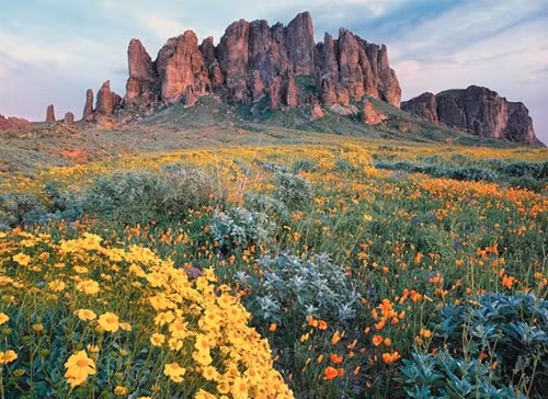 Nằm trong núi Superstitious, bang Arizona, Mỹ, mỏ vàng Lost Dutchman là một trong những "vùng quỷ" gây ám ảnh trên thế giới. Vùng đất này gắn liền với câu chuyện Jacob Waltz - người Đức di cư sang Mỹ năm 1845 đã khám phá ra mỏ vàng trên. Trước khi qua đời, ông đã cố gắng để lại manh mối cho những người tìm vàng khác về vị trí của mỏ vàng trên. Tuy nhiên, nhiều thợ đào vàng đều bỏ mạng trong chuyến hành trình tìm kiếm mỏ vàng Lost Dutchman với hy vọng đổi đời.