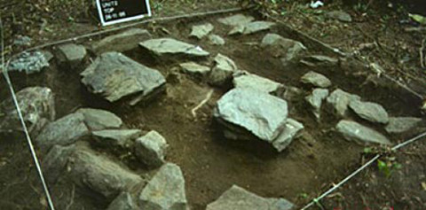 Xác ướp người ngoài hành tinh trong lăng mộ cổ Ai Cập. Cuối năm 2011, các nhà khoa học đã tìm thấy xác ướp cao khoảng 2,5m trong lăng mộ người Ai Cập cổ đại. Xác ướp này không có mắt và mũi, miệng rất rộng và không có lưỡi. Theo nhà khảo cổ học Gaston de Villars, xác ướp cách đây khoảng 4.000 năm, được chôn cất như một quý tộc người Ai Cập thời đó - được ướp lạnh cẩn thận và xung quanh có xác người hầu hạ. Xung quanh xác ướp lạ có những đĩa kim loại được đánh bóng và được bao bọc bởi những ký tự lạ. Bên cạnh là một bộ quần áo làm bằng kim loại cùng với những tàn tích để lại giống đôi dép, được cho là không phải của người Ai Cập thời đó cũng như không hề tồn tại trên bề mặt Trái Đất từ trước tới nay. Ngoài ra còn có nhiều viên đá có những biểu tượng là các ngôi sao, hành tinh và những cỗ máy hình thù kỳ lạ. Mộ được làm từ chất liệu mà thời xưa con người chưa tìm ra. Những viên đá với những hình thù được chạm khắc trơn láng như được cắt bằng tia laser. 