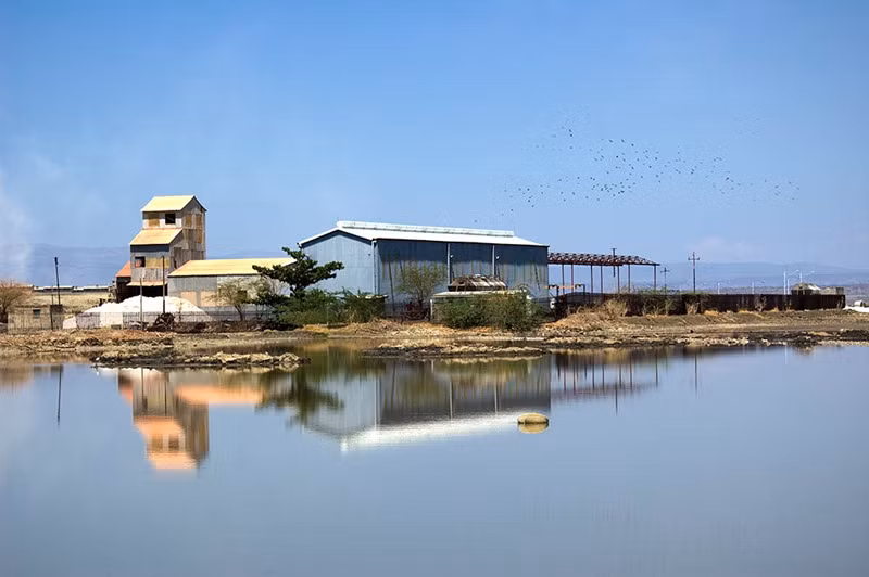 Theo các chuyên gia, hồ Magadi nhuốm màu đỏ đặc biệt như trên là do sự bùng nổ của vi khuẩn sau một trận bão.