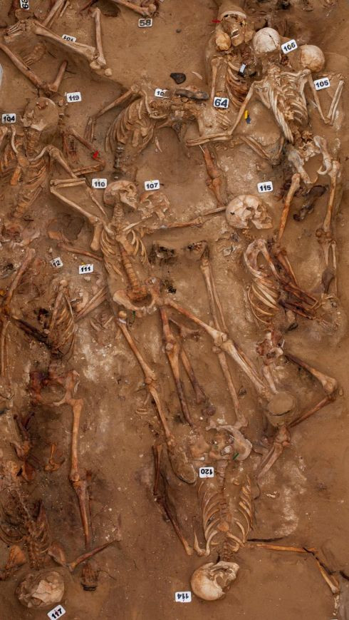 Canh rung ron trong ngoi mo tap the hon 100 xac chet