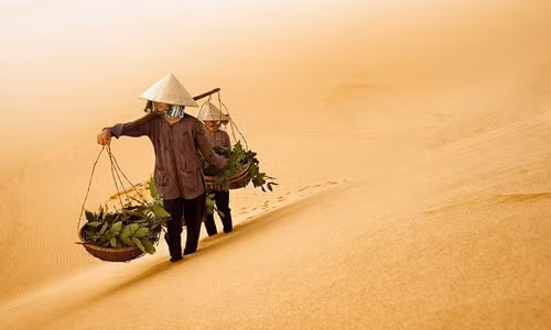 Trong chuyến du lịch vòng quanh thế giới, bác sĩ Marcellian Tan ghé thăm nhiều quốc gia và chụp ảnh những cảnh quan tuyệt đẹp ở những miền đất đi qua trong đó có hình ảnh Việt Nam tuyệt đẹp. Trong đó, hai người phụ nữ Việt Nam đi qua đồi cát tuyệt đẹp để lại phía sau những dấu chân đã đi ngang qua trở thành một trong những bức ảnh đẹp, ấn tượng nhất do ông Tan thực hiện.