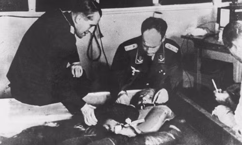 Theo đó, các tù nhân khỏe mạnh bị các bác sĩ phát xít Đức cho nhiễm bệnh sốt rét bằng cách cho muỗi đốt, cấy virus vào trong cơ thể hoặc tiêm chất nhày mang virus của muỗi cái.