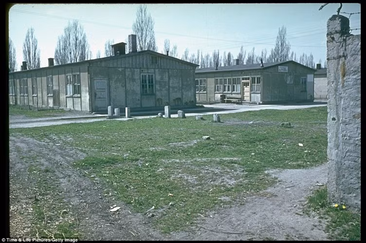 Ban đầu, trại tập trung Dachau là nơi giam giữ tù nhân chính trị. Sau thời gian hoạt động, nơi đây trở thành trại tử thần với hàng ngàn người Do Thái chết vì suy dinh dưỡng, bệnh tật, làm việc quá sức hay bị hành hình, giết hại một cách tàn khốc.