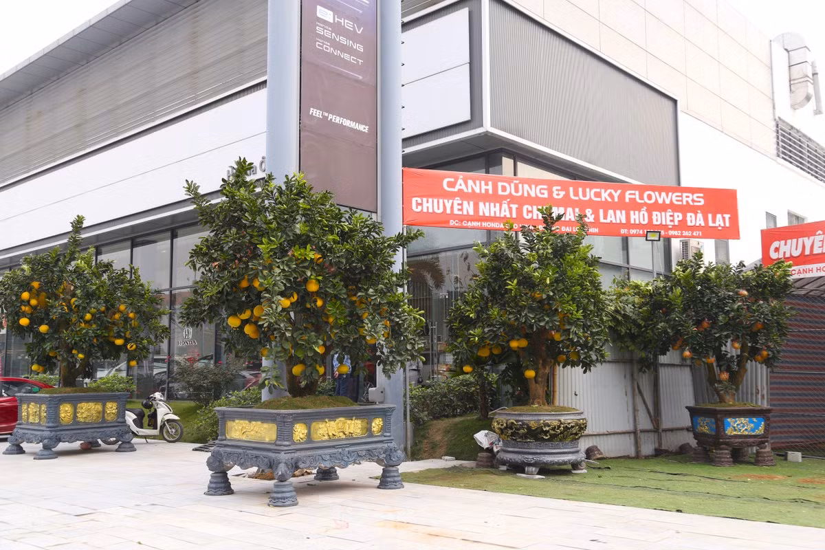 Buoi canh, quat mini,... xuong pho choi Tet som