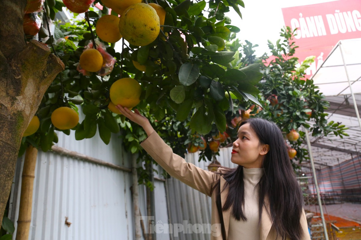 Buoi canh, quat mini,... xuong pho choi Tet som-Hinh-5