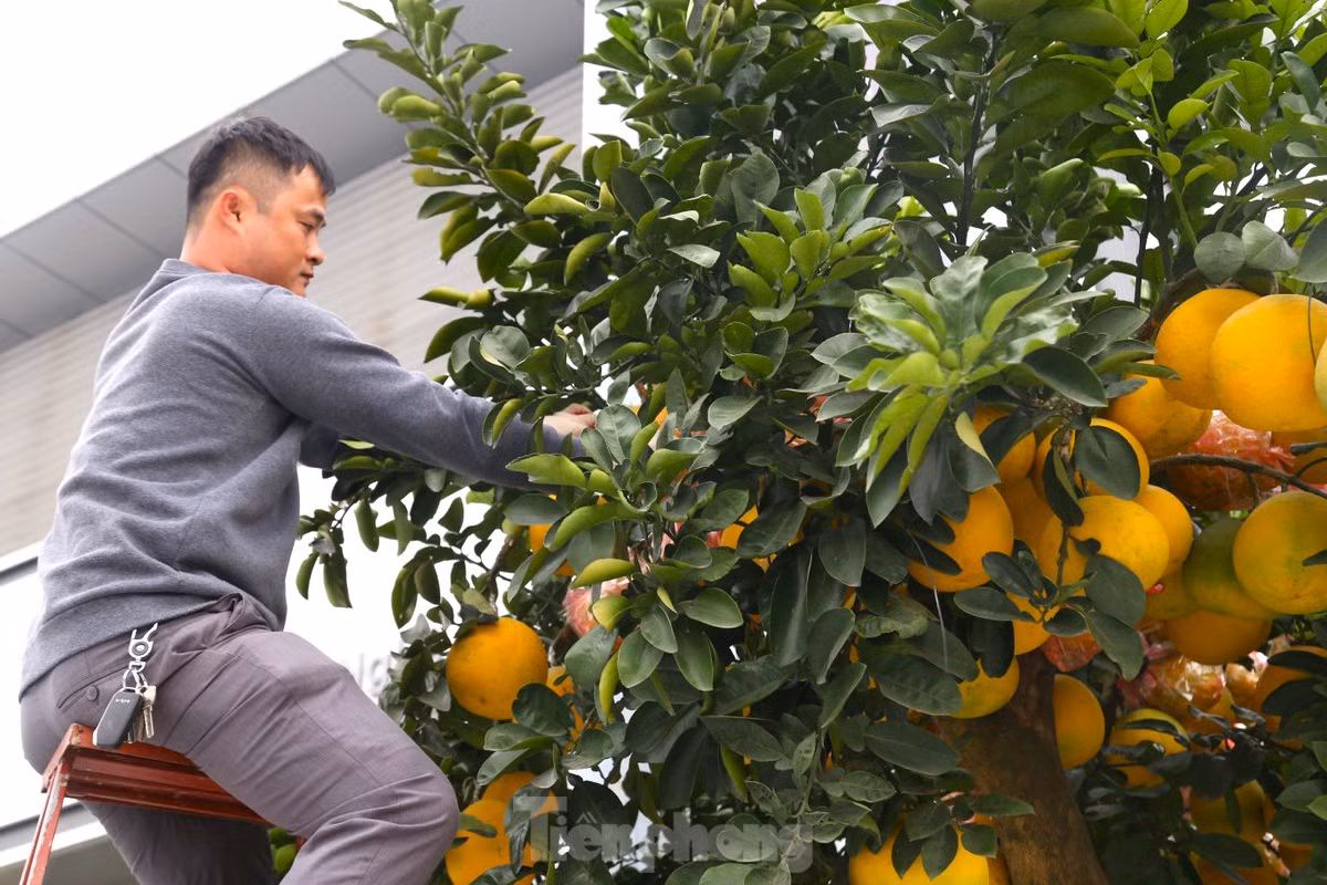 Buoi canh, quat mini,... xuong pho choi Tet som-Hinh-2