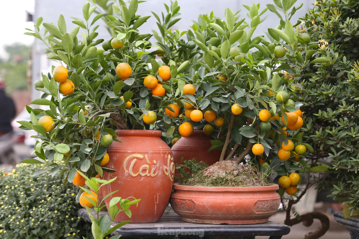 Buoi canh, quat mini,... xuong pho choi Tet som-Hinh-8