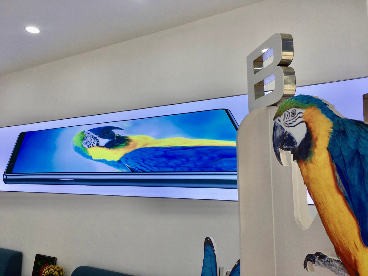 CEO Nguyen Tu Quang voi “o thinh” mang ten Bphone 4-Hinh-2