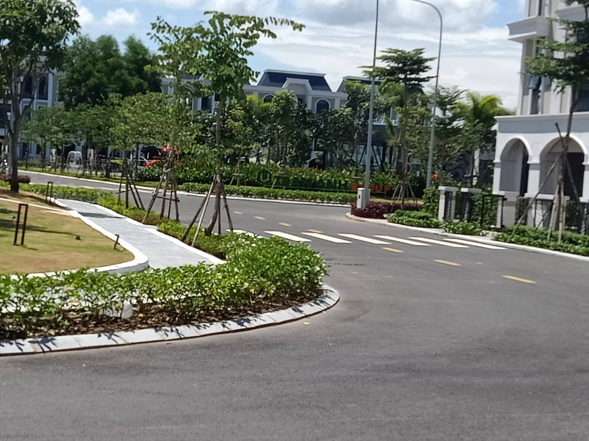 Tran Anh Group xay dung, ban chui du an Long Phu Villa-Hinh-4