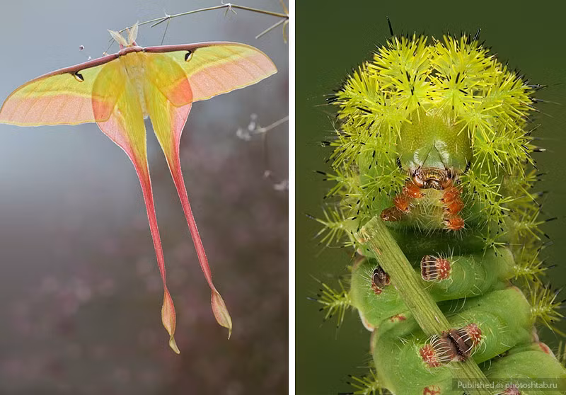 Sự kiên trì và lòng yêu nghề một cách nghiêm túc của nhiếp ảnh gia Igor Siwanowicz đã mang về cho anh không chỉ tiền bạc mà còn là danh tiếng, người hâm mộ. (Theo Smalliving)