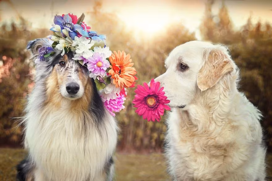 Hiện Mali và chủ nhân của mình cũng chính là nhiếp ảnh gia Gabi sống ở Đức, trải qua những ngày hạnh phúc, vui vẻ nhất trong cuộc đời. (Theo Boredpanda)