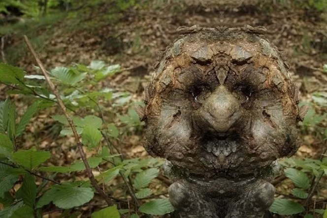 Để có được những bức ảnh độc đáo về khuôn mặt của những loài cây, nghệ sĩ Elido Turco đã lang thang khắp mọi nơi để tìm kiếm những gốc cây kỳ lạ, có hình thù giống như mặt mũi của con người. (Theo Boredom)