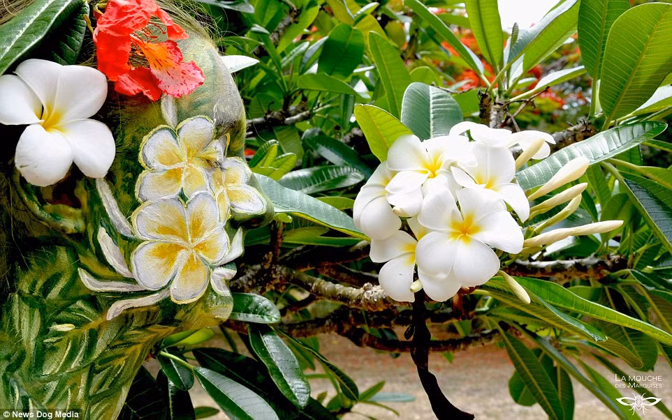 Sự hòa trộn hoàn hảo giữa những tác phẩm body art của nữ nghệ sĩ Nicolle Vanessa với môi trường xung quanh khiến người xem vô cùng thích thú. Thoạt nhìn người xem sẽ khó có thể phát hiện ra người mẫu nhưng nhìn kỹ, điều kỳ diệu xảy ra. (Theo Dailymail)