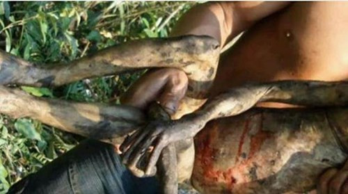 Những hình ảnh về sinh vật bí ẩn này ngay lập tức đã thu hút sự chú ý của dư luận. Tất cả mọi người đều tò mò về sự thực xung quanh sinh vật này tuy nhiên đến hiện tại vẫn chưa có đáp án chính thức. Tuy vậy, cũng có suy đoán cho rằng sinh vật này là sản phẩm lai tự nhiên giữa loài vượn và khỉ hoặc xác của một con đười ươi, tinh tinh mắc chứng rụng lông. Ngoài ra, cũng có ý kiến cho rằng đây hình ảnh giả mạo, một trò đùa câu kéo sự chú ý trên mạng xã hội.