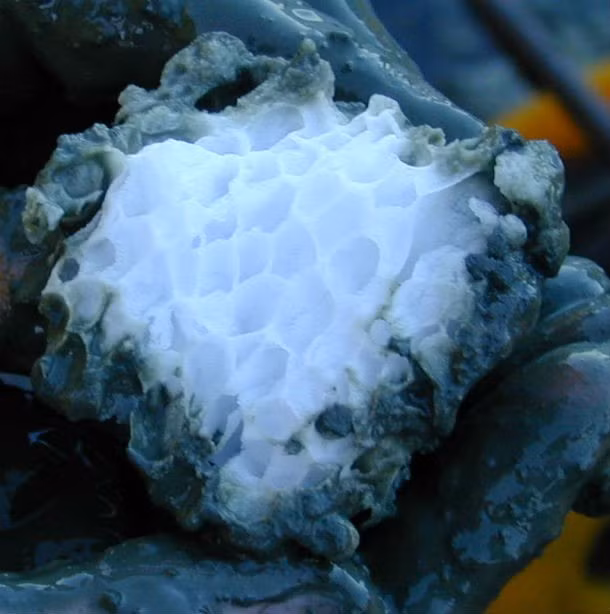 Mặc dù được nhiều người ca ngợi vẻ đẹp nhưng những bong bóng màu trắng kỳ lạ bị mắc kẹt chỉ vài cm dưới mặt băng đông lạnh thực tế là một túi chứa chất metan dễ cháy và vô cùng độc hại với tác động có khả năng gây chết người.Các nhà khoa học tin rằng nếu nhiệt độ Trái đất tiếp tục tăng, metan có thể được thải vào khí quyển và tiêu diệt mọi sinh vật sống xung quanh vùng đó. Đây cũng được coi là một trong những hiện tượng thiên nhiên đáng sợ nhất nếu xảy ra. Nguồn: L25