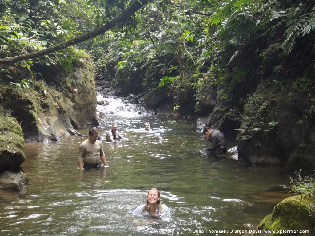 Đường mòn Darien Gap, Panama và Colombia. Đây được coi là con đường nguy hiểm nhất thế giới với 90km nhiều đầm lầy, là địa bàn hoạt động của các băng đảng ma túy, điều kiện địa hình thời tiết khắc nghiệt, thất thường. Rất ít nhà thám hiểm dám đi vào con đường mòn này khi không có đoàn đội và biết tất cả mọi thứ về nó. Nguồn: Lolwot