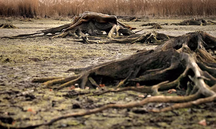 Đáng chú ý là những hình ảnh khó tin này hoàn toàn có thật, không qua bất kỳ chỉnh sửa photoshop nào.