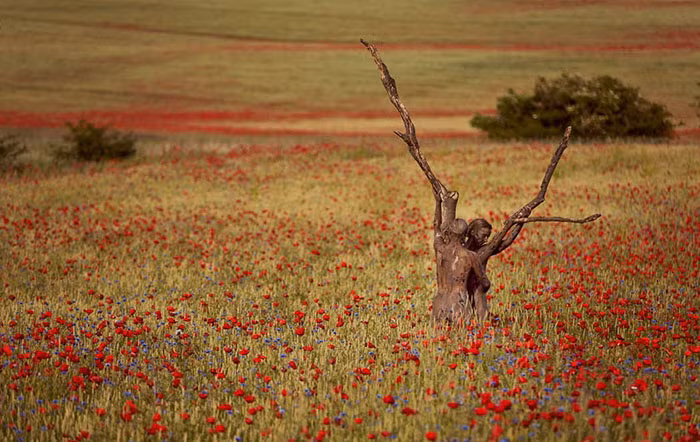 Hòa quyện vào thiên nhiên, khiến người xem không phân biệt được đâu là thật đâu là giả.
