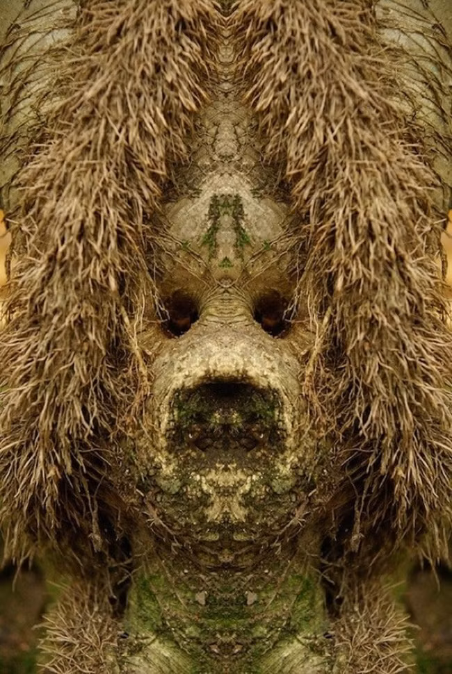 Sau khi chụp được những hình ảnh ưng ý rồi, nhiếp ảnh gia Elido Turco sẽ cân đối, sử dụng thủ thuật tạo ảnh đối xứng để hoàn thành tác phẩm của mình. (Theo Boredom)