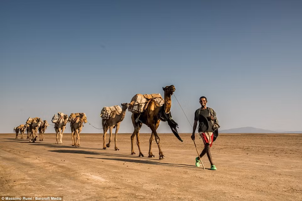 Lạc đà còn được gọi là "con tàu sa mạc" có thể chịu đựng được thời tiết khô hạn, nắng nóng, thiếu nước, là phương tiện vận chuyển lý tưởng của người dân nơi đây. (Theo Dailymail)