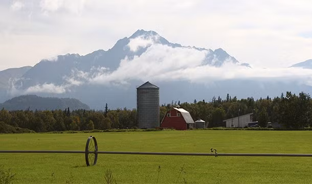 Trước năm 1986, bạn thậm chí không cần phải mua bất động sản ở Alaska. Bạn chỉ cần chọn khu vực đất đai mình muốn, xây dựng một ngôi nhà và nó sẽ là của bạn.