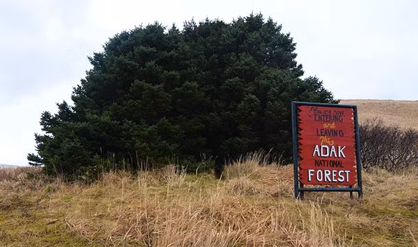 Rừng Quốc gia Adak ở vùng đất nhiều bí ẩn Alaska là khu rừng nhỏ nhất nước Mỹ cũng có thể là khu rừng nhỏ nhất thế giới. Nó chỉ có vỏn vẹn 33 cây.