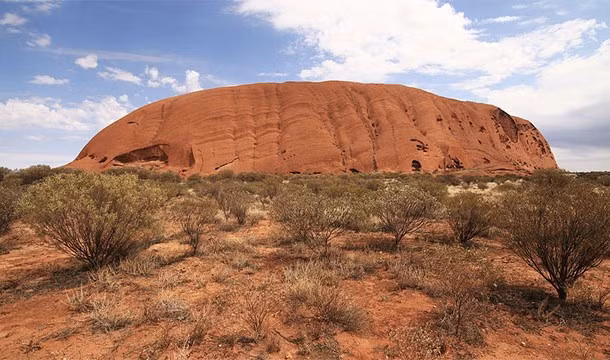 Mặc dù Australia được biết đến là nơi có vô số động vật nguy hiểm, có khả năng giết người trong nháy mắt. Tuy vậy, ghi nhận cuối cùng về cái chết bởi nhện độc cắn trên mảnh đất này là năm 1981.