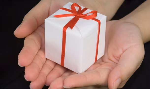 Một số con nhện đực sẽ gói ghém một con ruồi chết trong tơ để làm quà tặng trước khi giao phối với con cái.