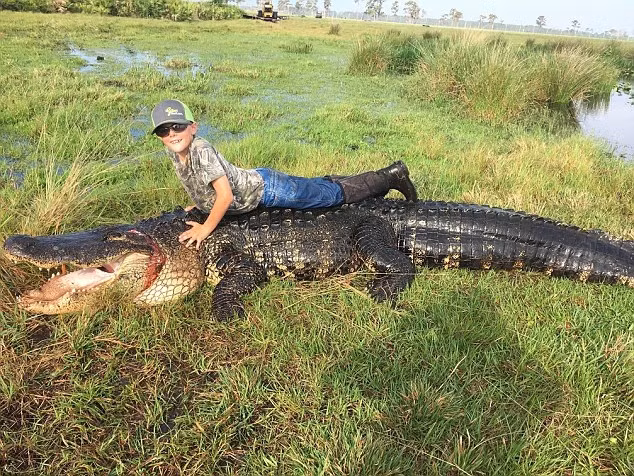 Vì thấy con cá sấu khủng, vượt ngoài tầm kiểm soát, anh Lee Lightsey quyết định nhờ đến người hướng dẫn săn bắn là anh Blake Godwin. Với sự giúp đỡ của Blake, cuối cùng hai người đã khuất phục và giết chết được con cá sấu. Tuy nhiên nó quá nặng, hai người phải dùng cần cẩu mới có thể kéo được con cá sấu lên bờ. (Theo Dailymail)