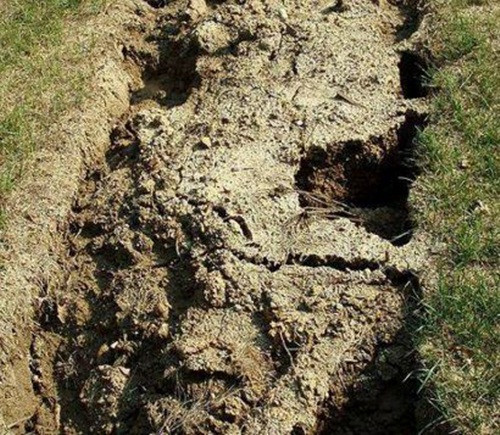 Anthony Britton là một nhà ảo thuật gia và ông đã chuẩn bị một màn ảo thuật thoát chết ngoạn mục khi bị chôn sống. Tuy nhiên, Anthony không tính đến trọng lượng của đất và khi ông cố gắng thoát khỏi quan tài, ông bị tê liệt một bên cánh tay. Khi người dân sống gần Anthony Britton bắt đầu lo lắng, họ đào bới và cứu thoát Anthony trong trạng thái ông hoàn toàn mất ý thức. Sau này, Anthony cho biết: "Tôi gần như đã chết nhưng cuối cùng cũng thoát khỏi lưỡi hái tử thần". Nguồn: EMGN