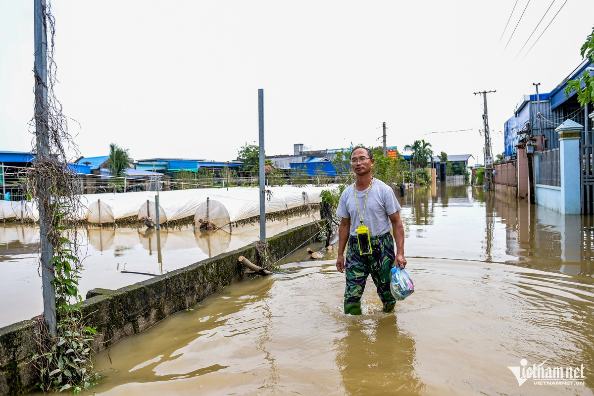 Vựa hoa lớn nhất Nam Định ngập trong biển nước “mất trắng” tiền tỷ - Hình 3 Vua hoa lon nhat Nam Dinh ngap trong bien nuoc “mat trang” tien ty-Hinh-3