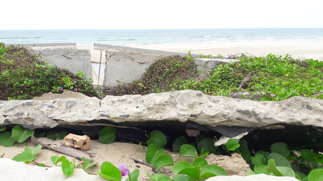 Da Nang: Bai tam va via he sat lo, hu hong nang-Hinh-3