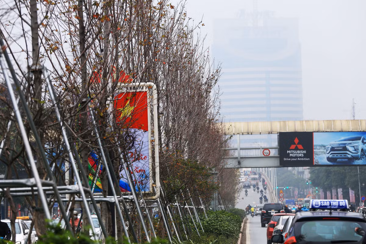 Được biết, có hơn 100 cây phong lá đỏ trồng thử nghiệm ở đường Nguyễn Chí Thanh và Trần Duy Hưng.