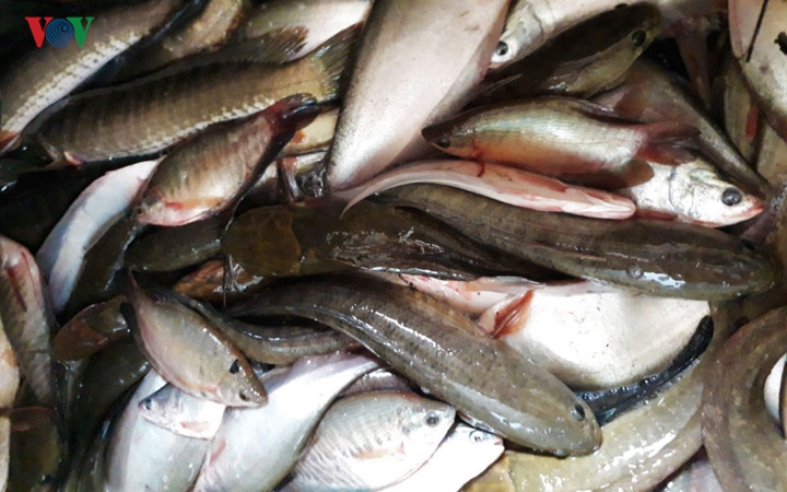 Cá đồng là một trong những đặc sản có tiếng của Cà Mau.