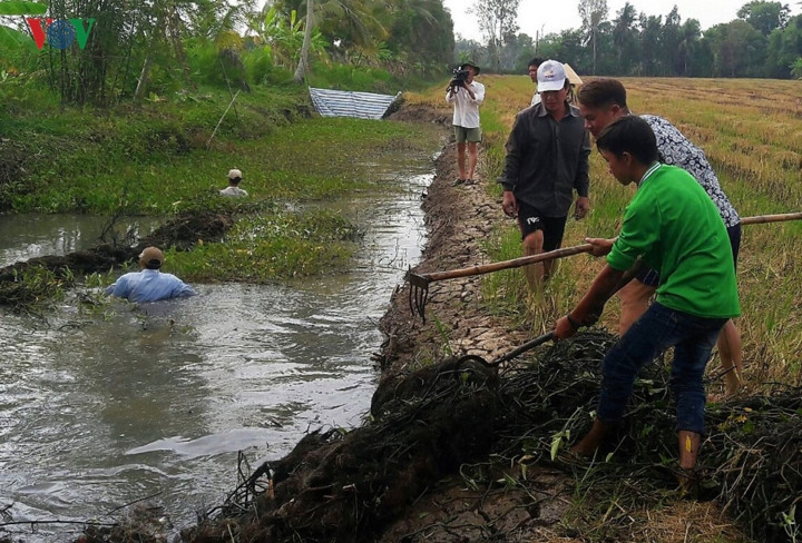 Dù dùng phương pháp nào, người dân cũng cần dọn sạch cỏ trước khi bắt cá.