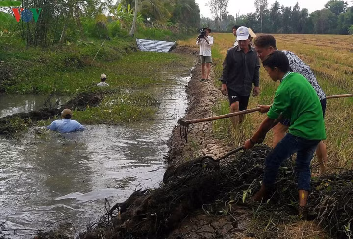 Dù dùng phương pháp nào, người dân cũng cần dọn sạch cỏ trước khi bắt cá.